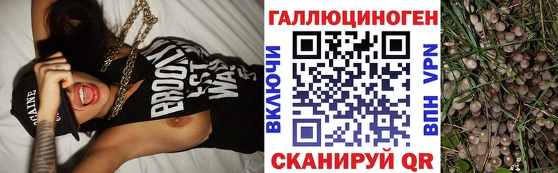 Галлюциногенные грибы Psilocybine cubensis  Купить  Бутурлиновка 